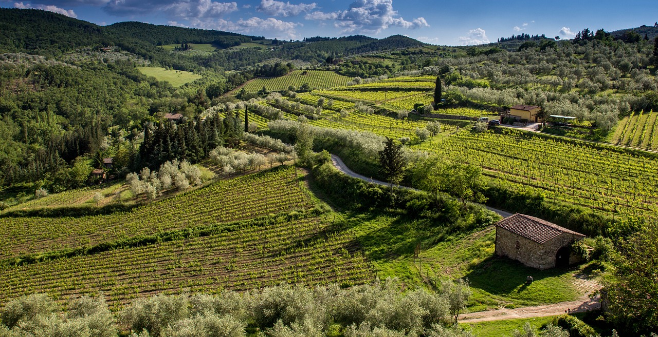 Walks and Hikes in Tuscany - Experience Tuscany like a Local